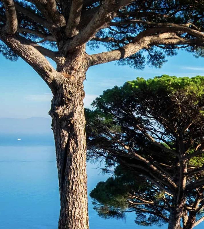 Maison - 404 m² - 8 pièces