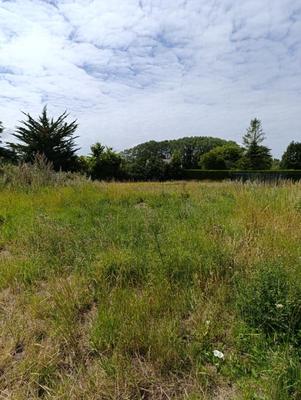 Terrain constructible - 1 200 m²