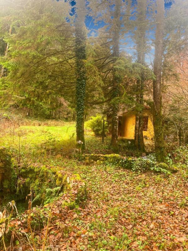 Terrain constructible - 3 197 m²