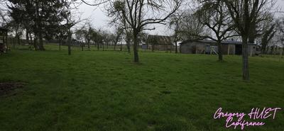 Terrain constructible - 1 826 m²