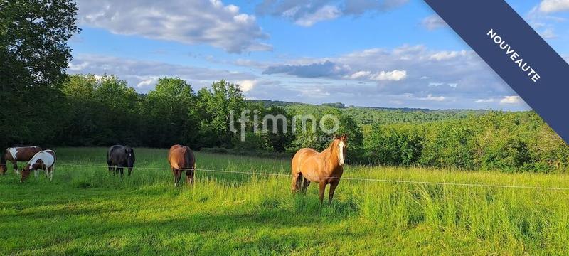 Maison - 329 m² - 16 pièces