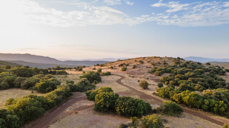 Exposition Vestiges à Découvert
