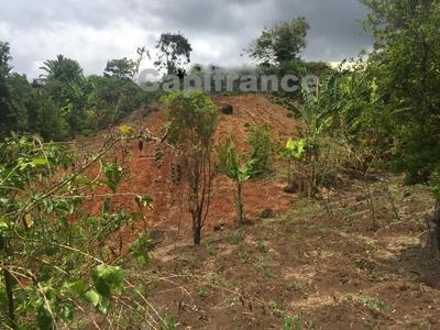 Terrain constructible - 6 969 m²