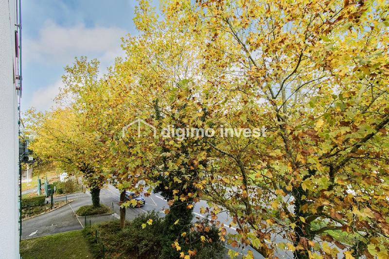 Studio - 19 m² - 1 pièce