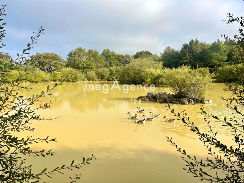 Maison - 101 m² - 4 pièces