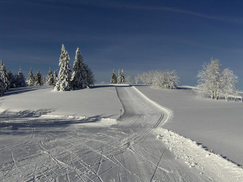 Randonnée de découverte en raquettes à neige