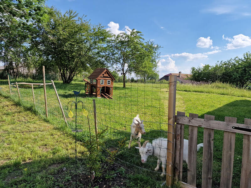 Maison - 233 m² - 9 pièces