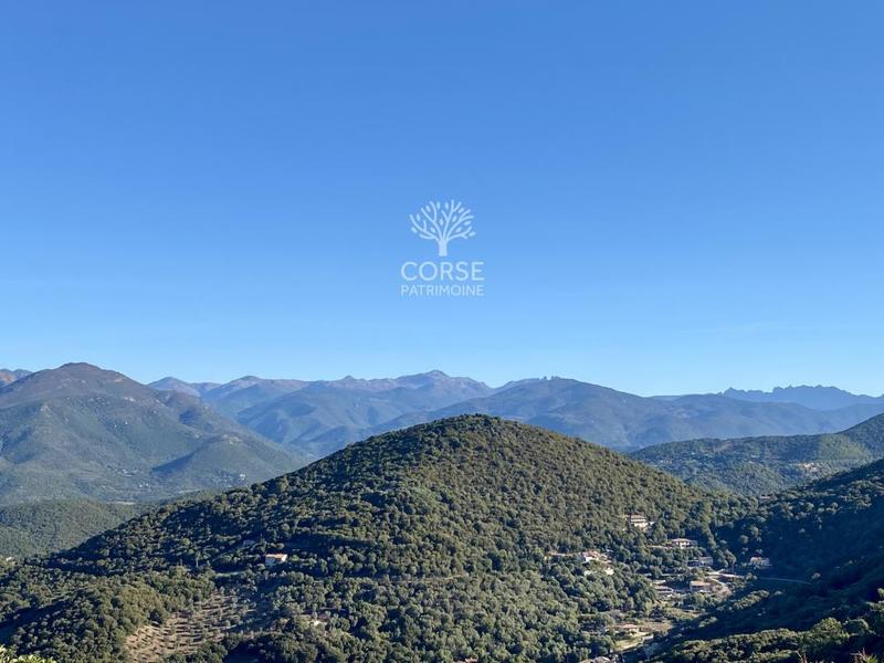 Maison - 202 m² - 7 pièces