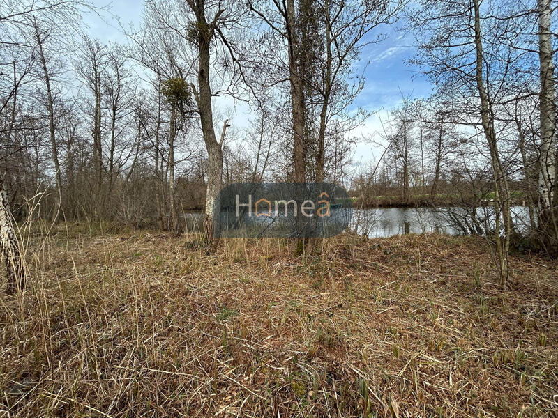 Terrain de loisirs - 6 955 m²