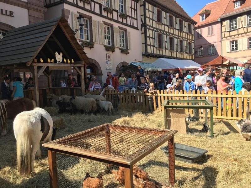 Marché de printemps paysan
