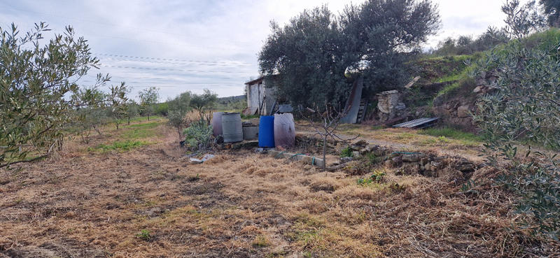 Terrain de loisirs - 20 600 m²