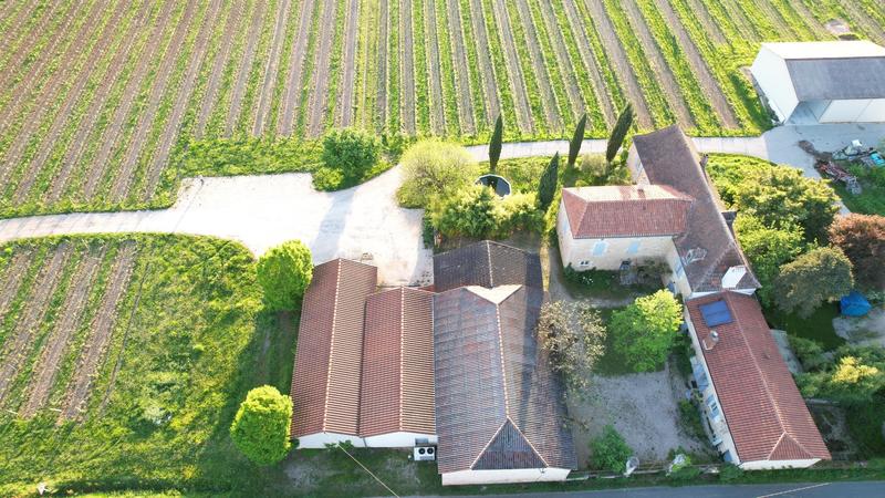 Propriété viticole - 310 m² - 15 pièces