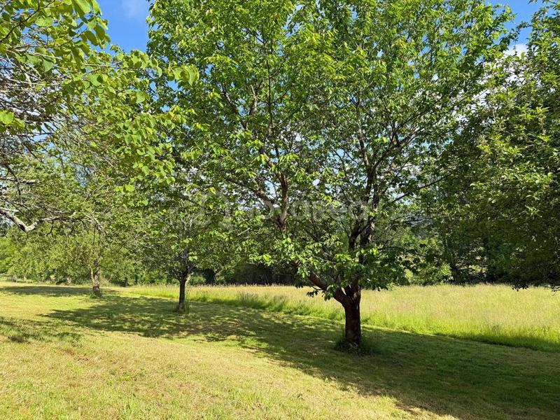 Maison - 241 m² - 8 pièces