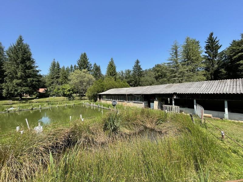 Maison ancienne - 50 m² - 3 pièces