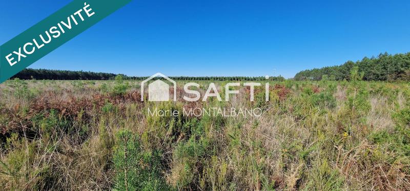 Terrain - 20 264 m²