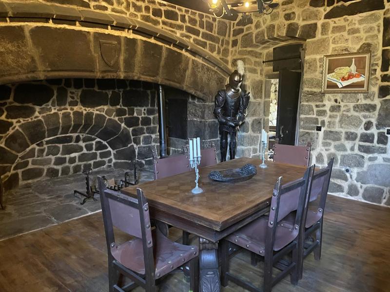 Château - 750 m² - 16 pièces