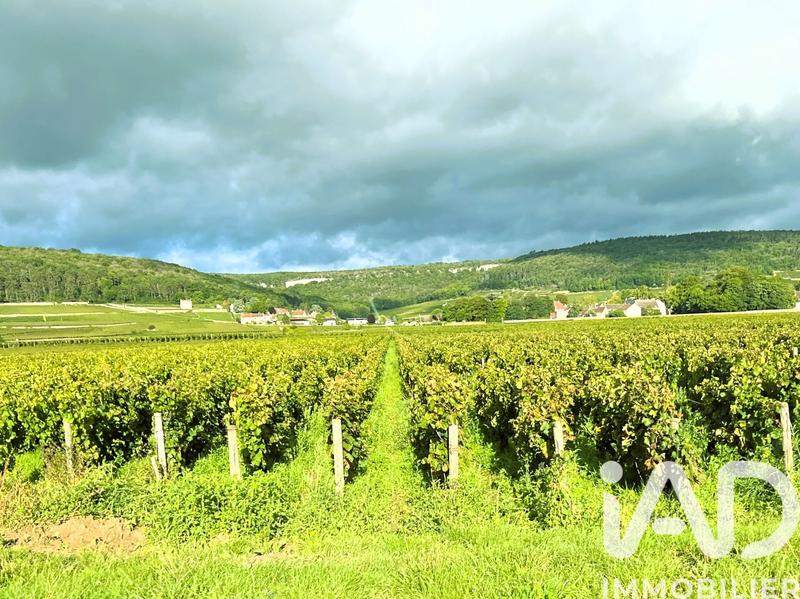 Maison - 287 m² - 8 pièces