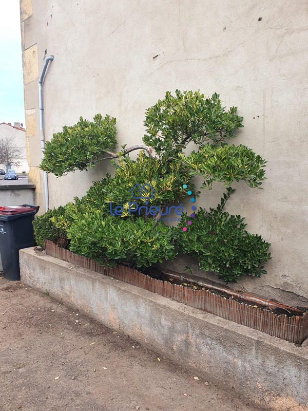 Appartement - 67 m² - 2 pièces