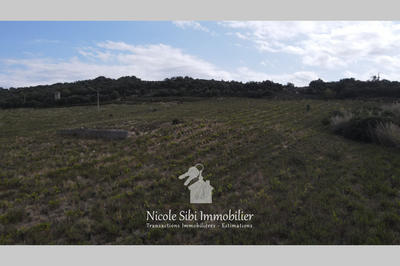 Terrain agricole - 17 590 m²