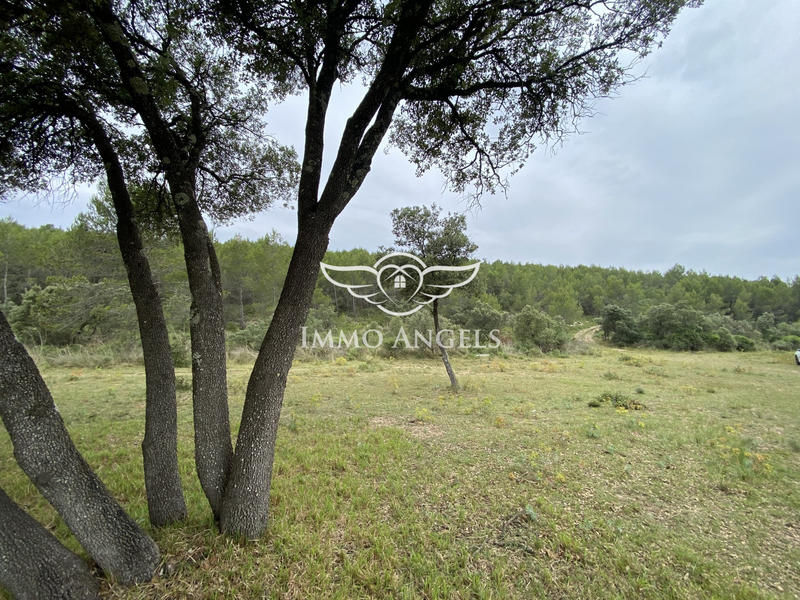 Terrain de loisirs - 49 670 m²