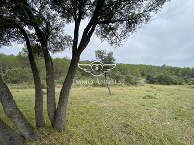 Terrain de loisirs - 49 670 m²