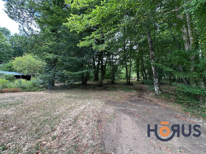 Viager - Maison - 205 m² - 9 pièces