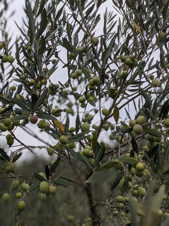 Maison - 300 m² - 10 pièces