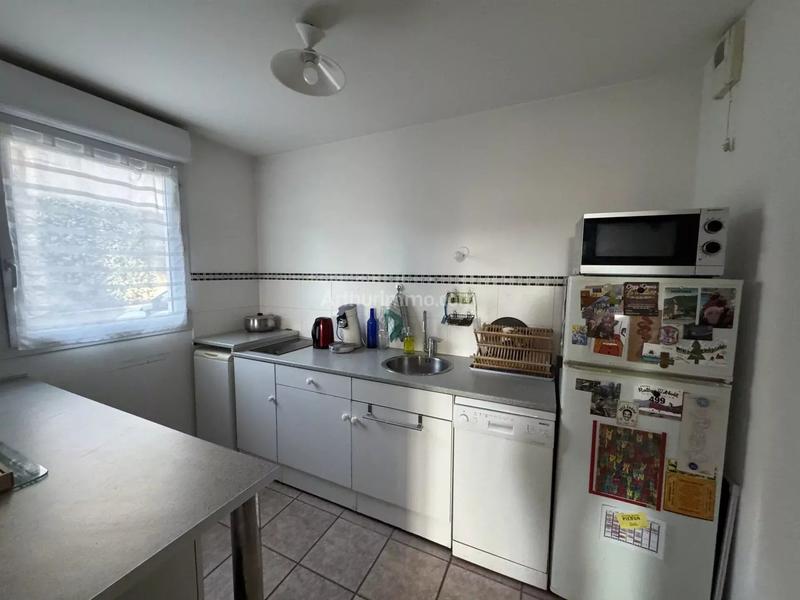 Appartement - 50 m² - 2 pièces