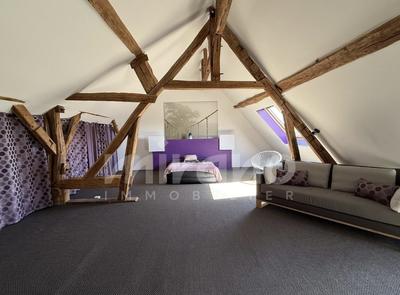 Maison ancienne - 437 m² - 12 pièces