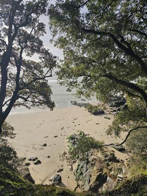 Maison - 142 m² - 6 pièces