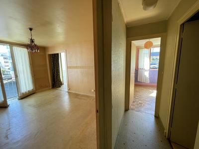 Appartement - 55 m² - 2 pièces