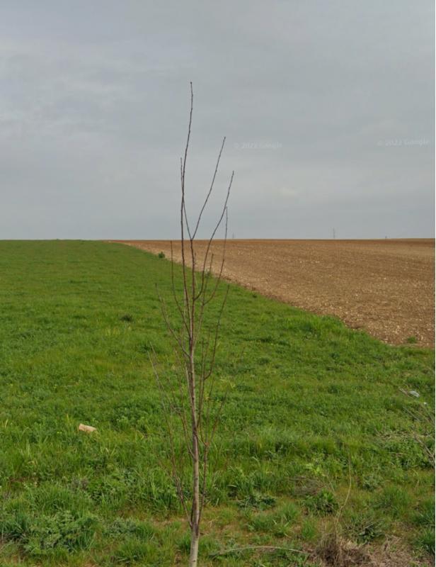 Terrain constructible - 300 m²