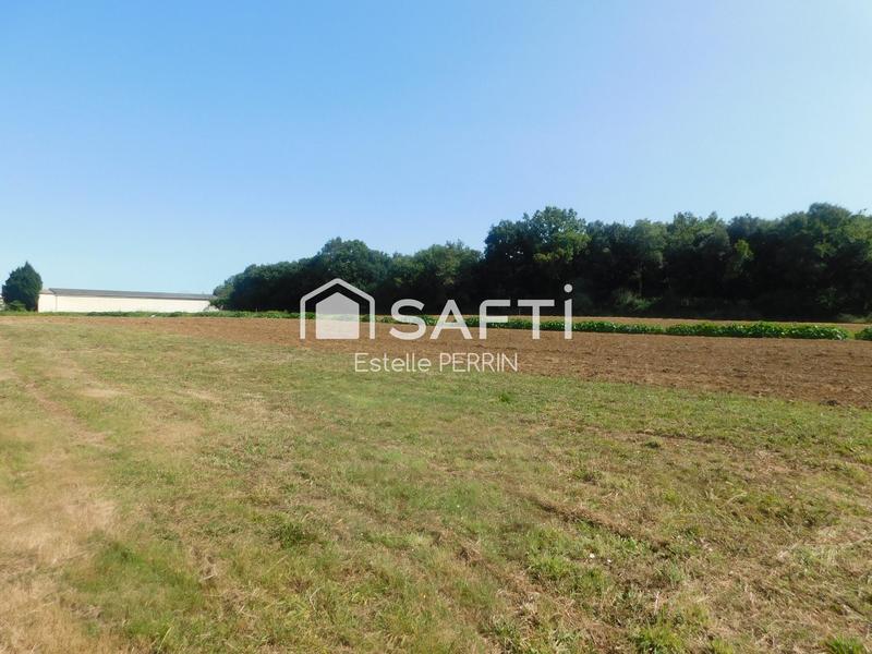 Terrain - 1 557 m²