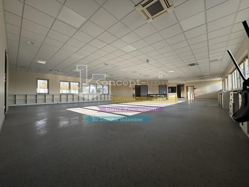 Bureau - 290 m²