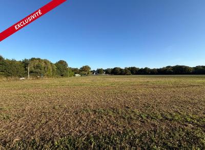 Terrain constructible - 870 m²