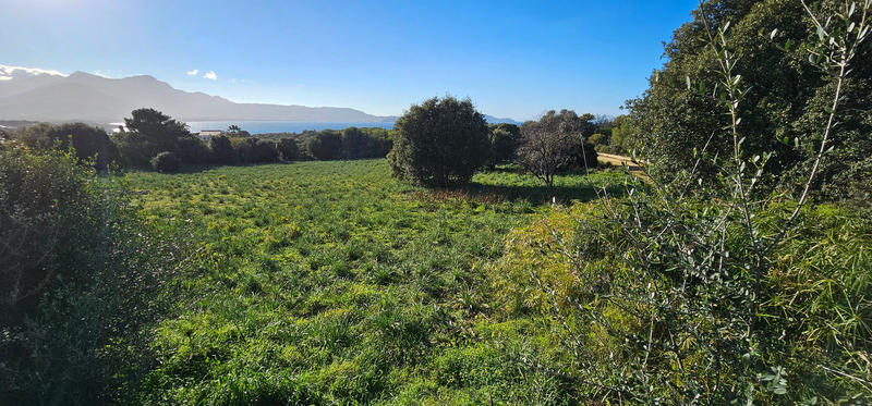 Maison - 125 m² - 3 pièces