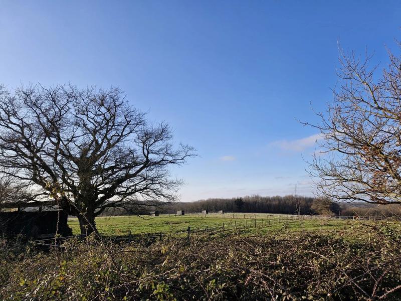 Maison - 310 m² - 15 pièces