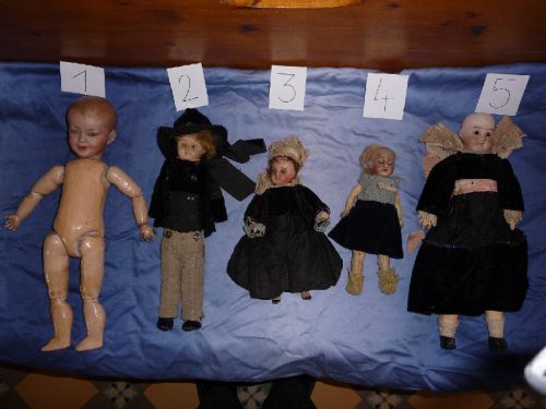 Antiquités du cèdre