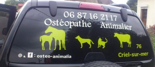 Ostéopathe Animalier