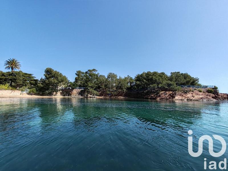 Studio - 24 m² - 1 pièce