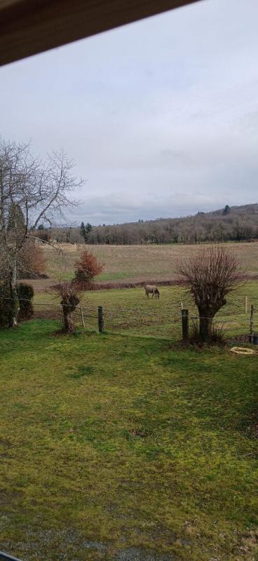 Maison - 165 m² - 7 pièces