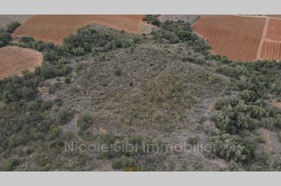 Terrain agricole - 13 475 m²