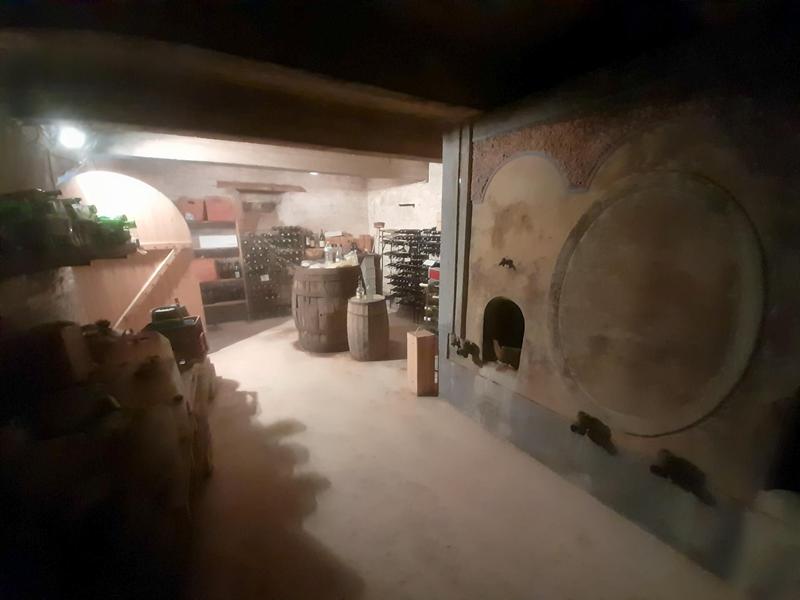 Maison de maîtres - 276 m² - 10 pièces