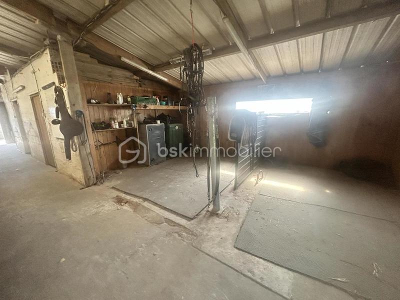 Maison de domaine équestre - 150 m² - 5 pièces