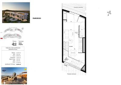 Appartement - 53 m² - 2 pièces