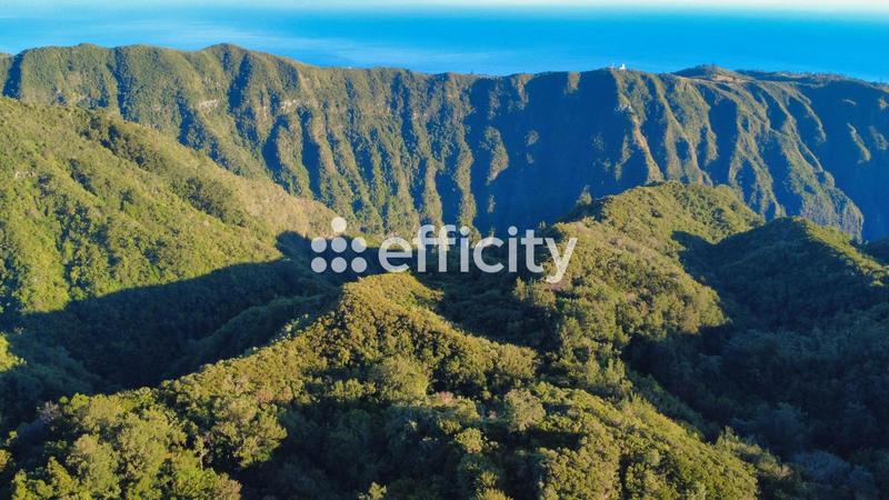 Terrain - 640 000 m²