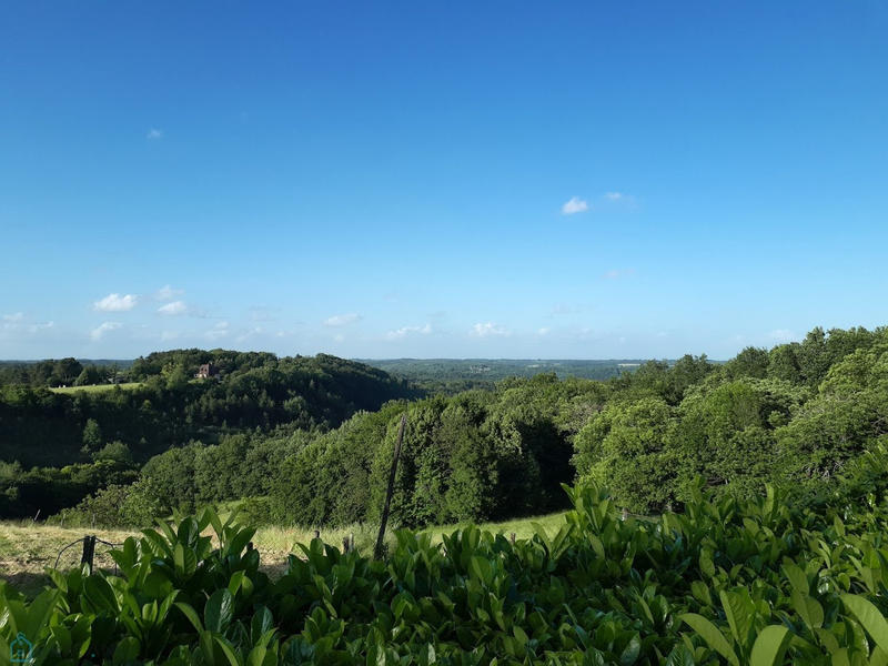 Maison - 500 m² - 10 pièces