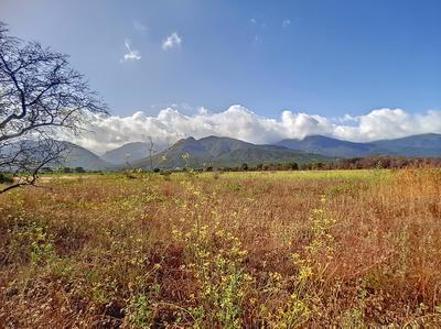 Terrain agricole - 12 717 m²