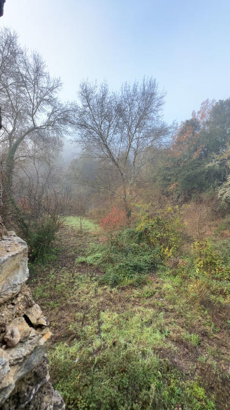 Maison - 330 m² - 5 pièces