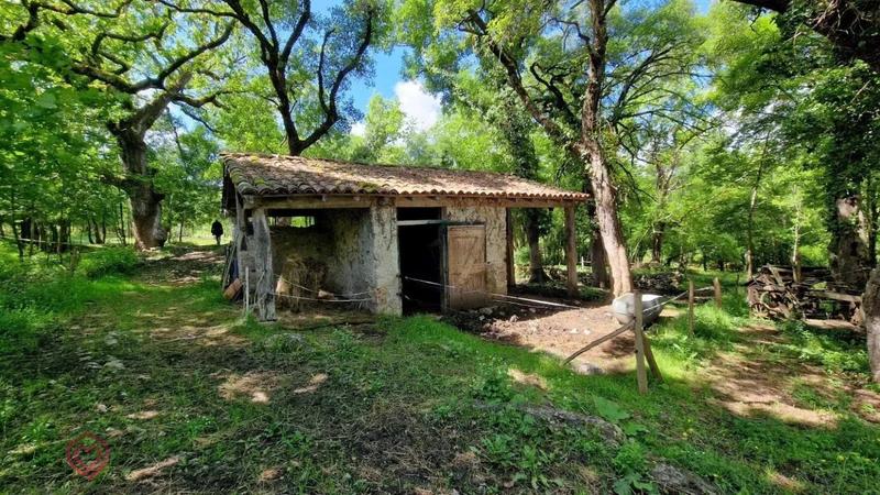 Propriété - 300 m² - 8 pièces